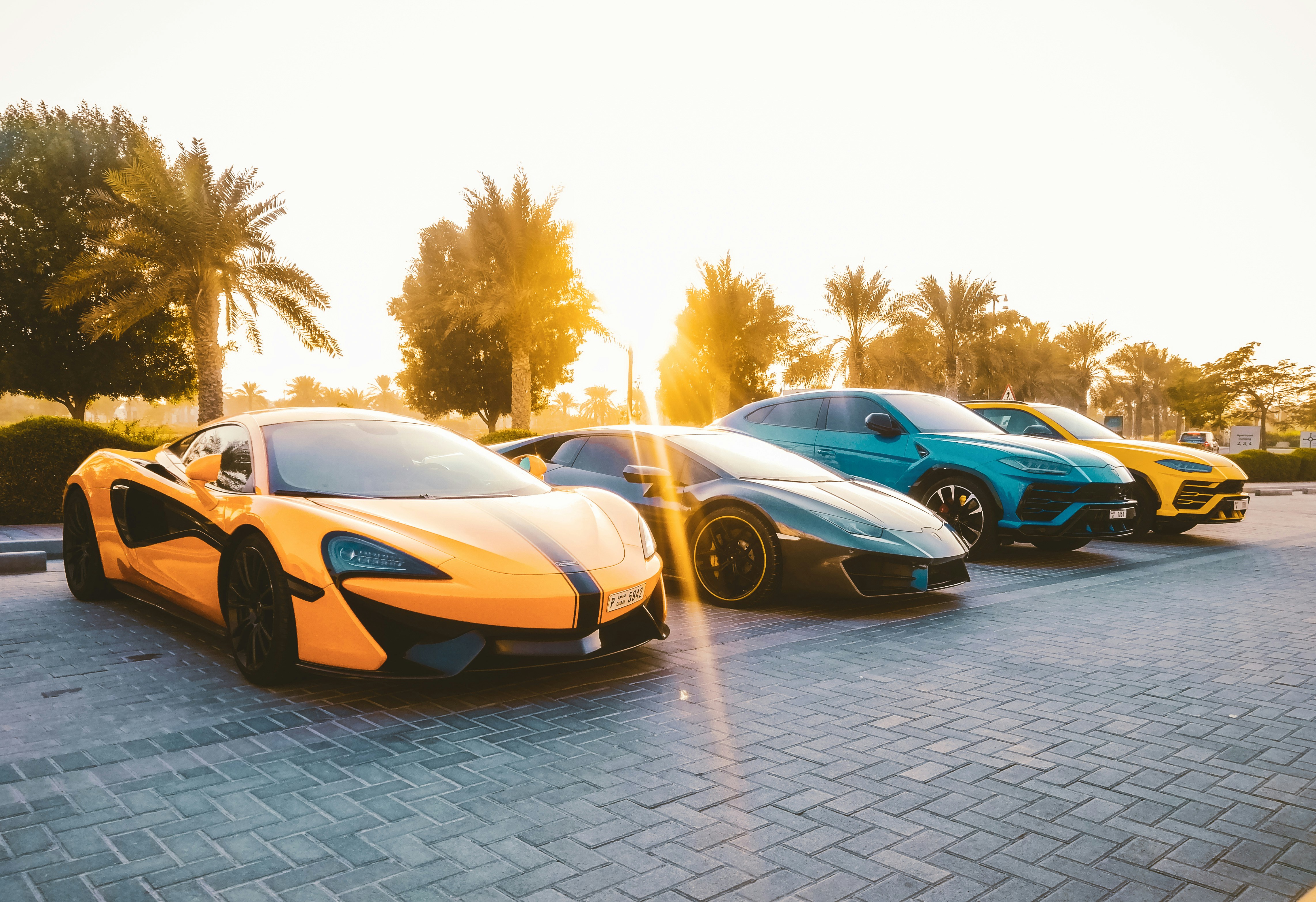 High Performance Racing Cats Pikzilla Racing - Professional Racing Team